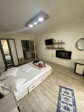 Apartment Darvys